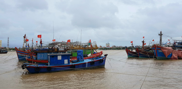 Vẫn còn 26 phương tiện, 178 lao động đang hoạt động trên biển