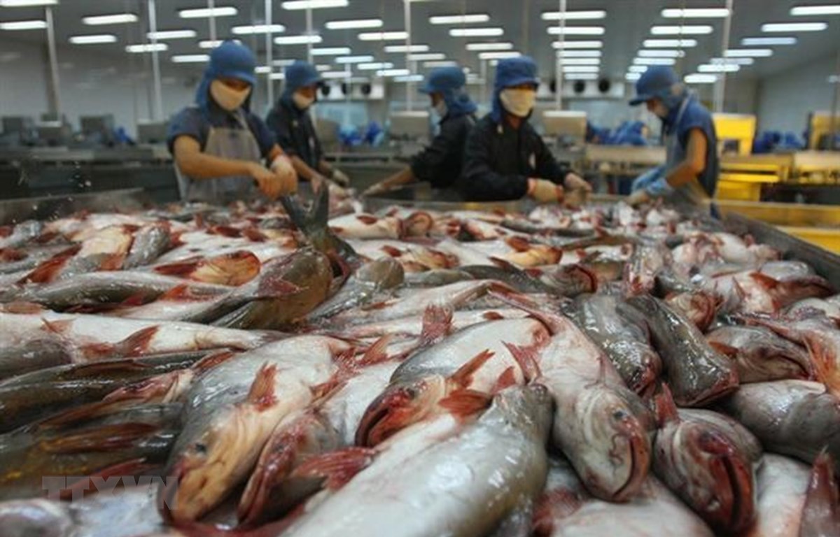 Tăng cạnh tranh cho thủy sản Việt Nam: Giải bài toán nguyên liệu