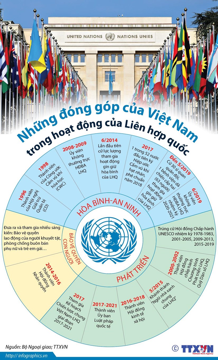 [Infographics] Những đóng góp của Việt Nam trong hoạt động của LHQ