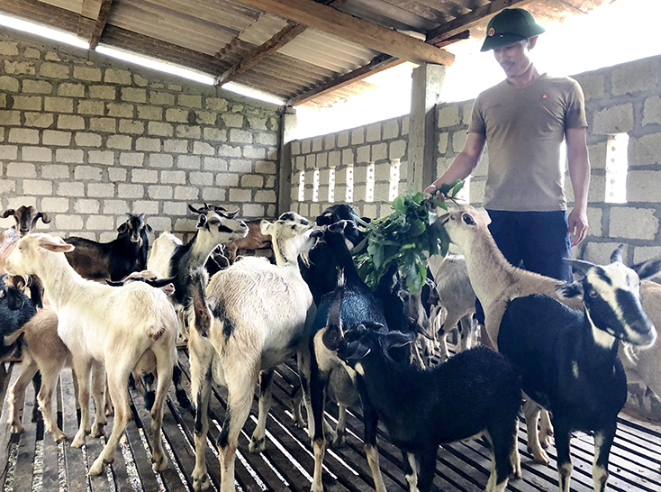Bố Trạch:  Phát huy vai trò tổ tiết kiệm và vay vốn