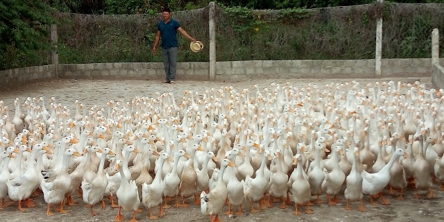 Tuyên Hóa: Trên 53 tỷ đồng giải ngân cho hội viên nông dân