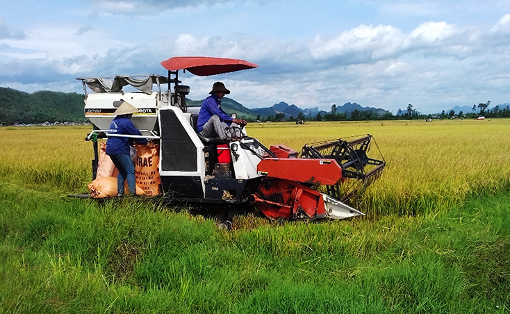 Xây dựng nông thôn mới ở TX. Ba Đồn:  Phát huy vai trò chủ thể của người dân