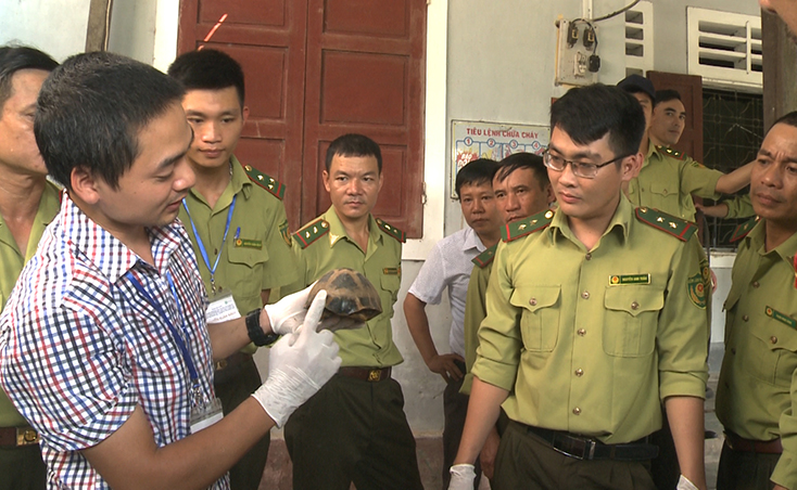 Tăng cường năng lực thực thi pháp luật về bảo vệ động vật hoang dã