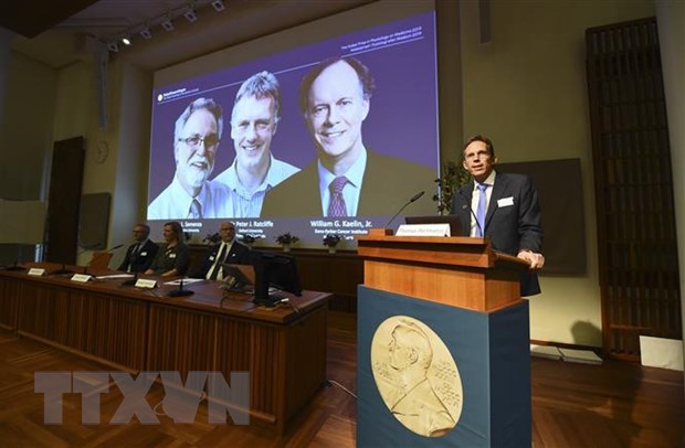 Nobel Y học 2019 vinh danh nghiên cứu điều trị bệnh thiếu máu, ung thư