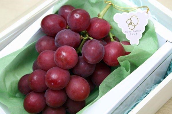 Kinh ngạc trước mức giá siêu đắt của giống nho thượng hạng Ruby Roman
