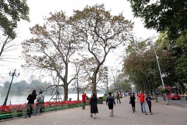 Nhiệt độ miền Bắc có xu hướng cao hơn trong mùa Đông 2019-2020