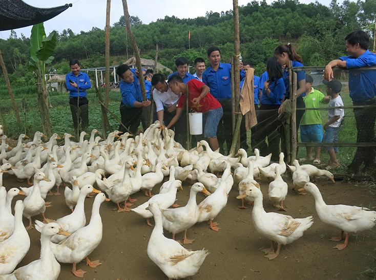 Cùng thanh niên khởi nghiệp