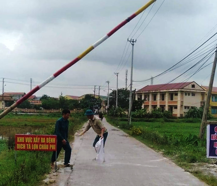 Dịch tả lợn châu Phi trên địa bàn TP. Đồng Hới:  Diễn biến phức tạp và có nguy cơ lan rộng