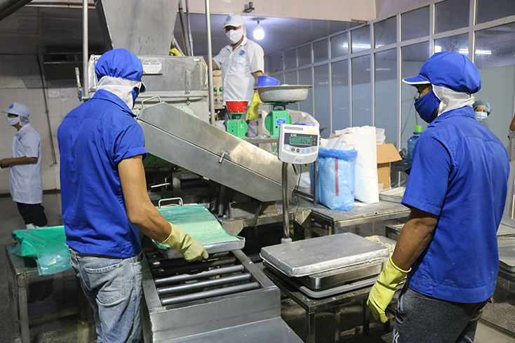 Triển khai hiệu quả nguồn vốn khuyến công