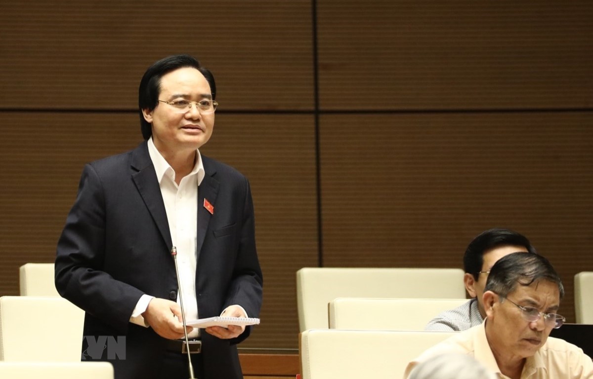 Quy định chứng chỉ tin học, ngoại ngữ 'có lẽ là không cần thiết'