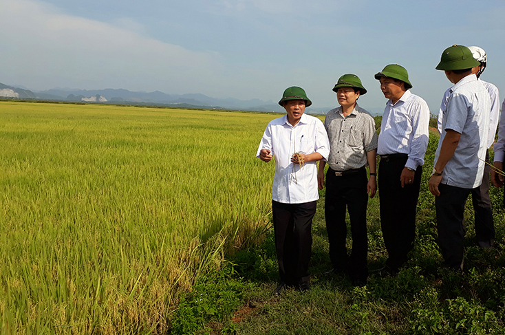 Nông thôn mới - 10 năm nhìn lại-Bài 3: Bài học kinh nghiệm và giải pháp