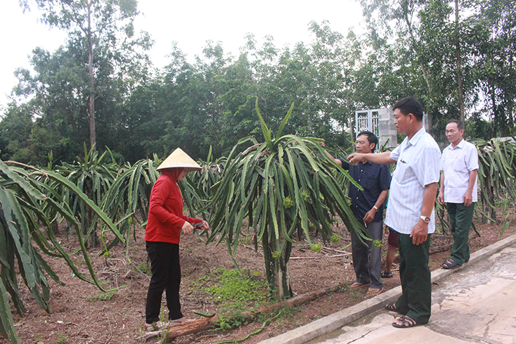 Những người lính tiên phong trong thời bình