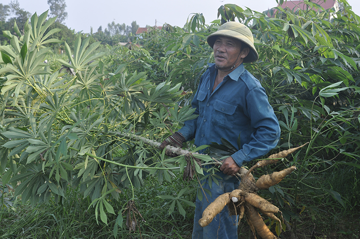 Nghị lực vươn lên của ông Huân