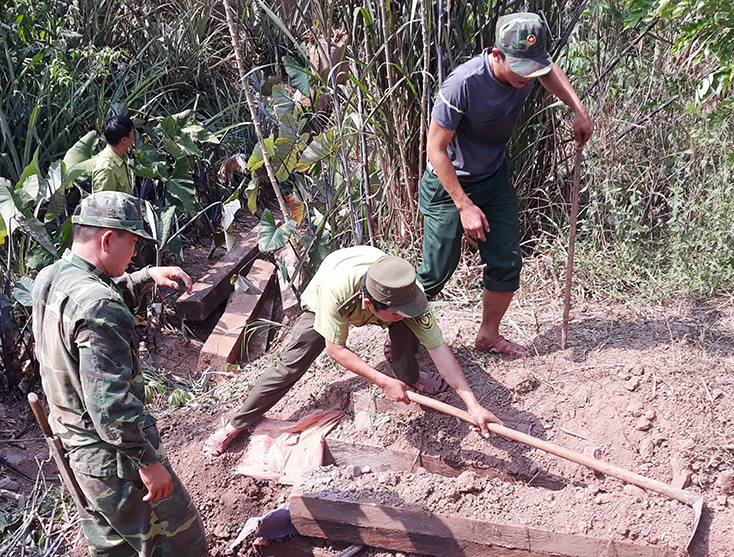 Về hai vụ khai thác lâm sản trái phép:  Các đơn vị chức năng tiếp tục xử lý theo quy định của pháp luật