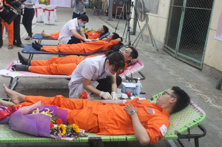 117 đơn vị máu thu được trong "Tuần lễ hồng EVN" của Công ty Điện lực Quảng Bình