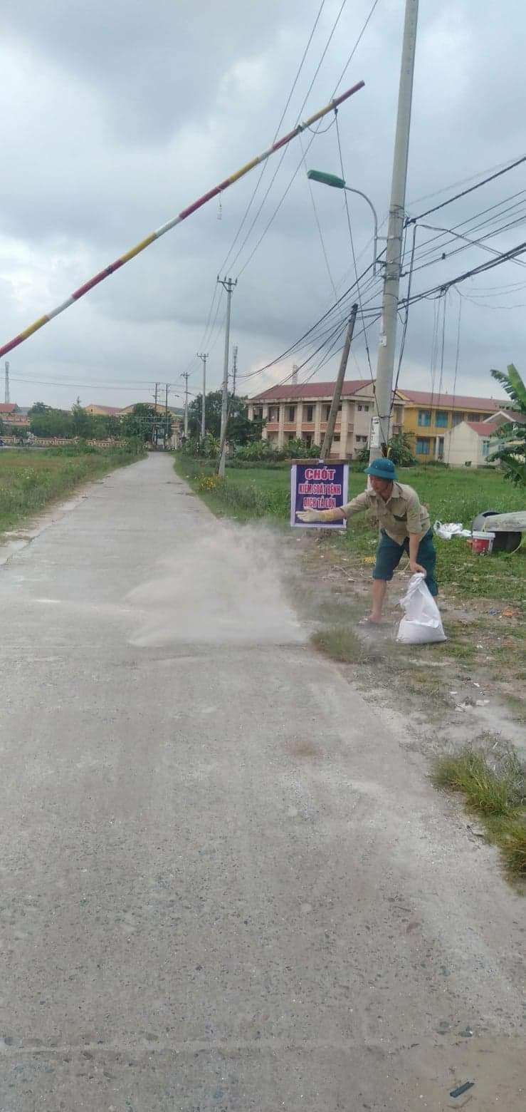TP. Đồng Hới công bố hết dịch tả lợn châu Phi