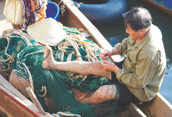 Vá lưới