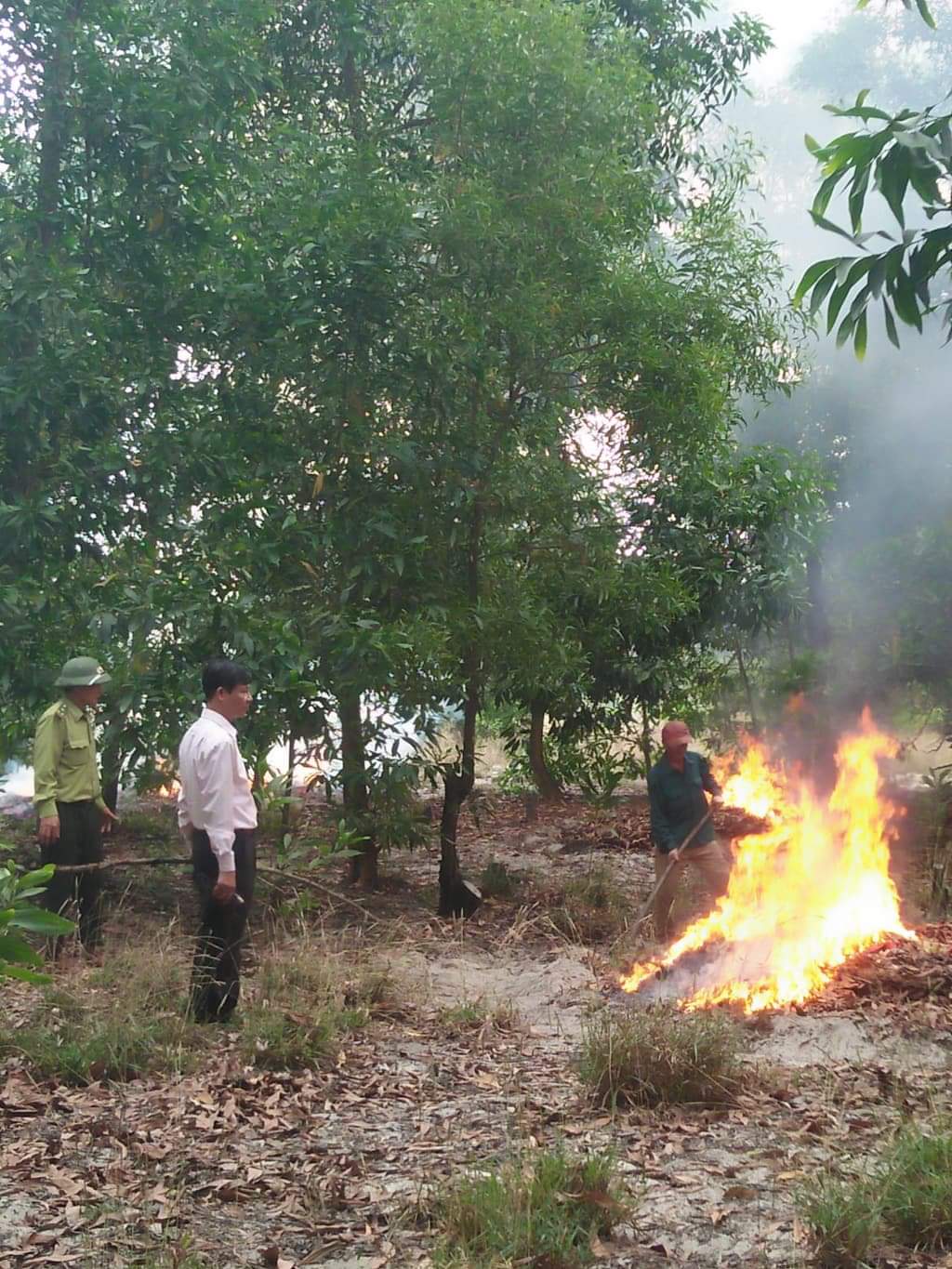 Tăng cường phòng, chống cháy rừng mùa khô