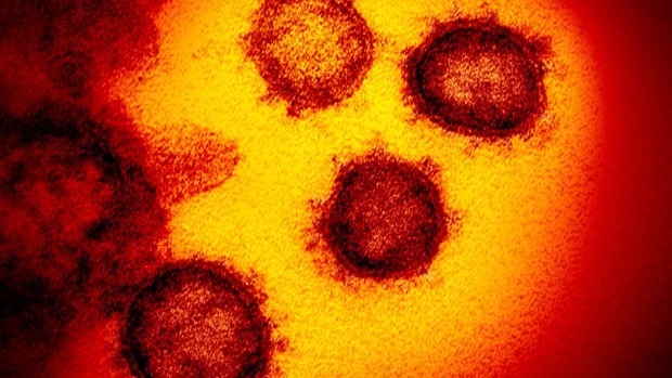 Ánh nắng Mặt Trời có thể vô hiệu hóa virus SARS-CoV-2