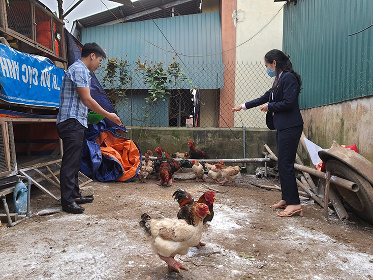 Tín dụng chính sách "sát cánh" cùng người dân