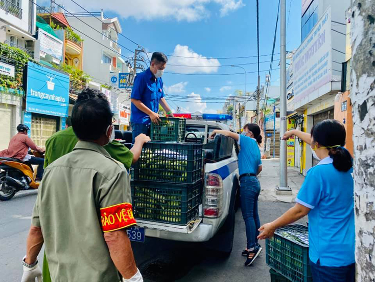 Gửi ân tình vào tâm dịch