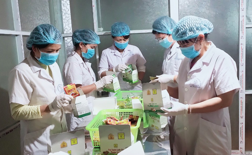 Giải quyết việc làm cho gần 3.400 lao động trong năm 2021