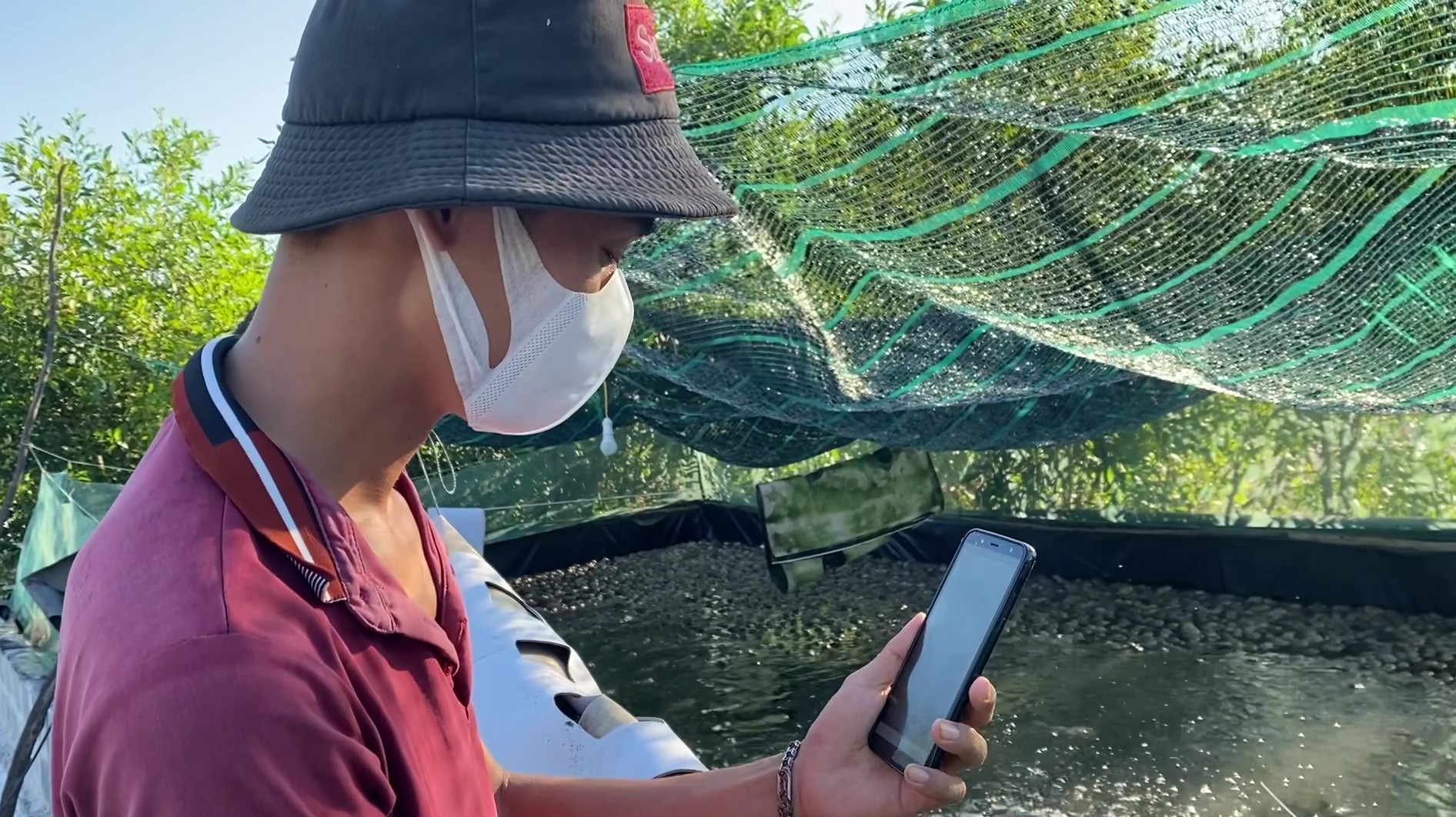 Nông dân Lệ Thủy: Linh hoạt trong chăn nuôi, vượt khó mùa dịch