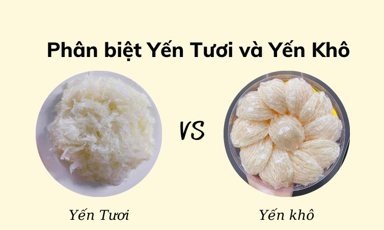 Tổ yến tươi và yến khô cái nào tốt hơn?