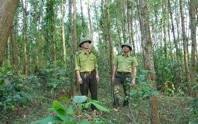 "Canh lửa" cho rừng…