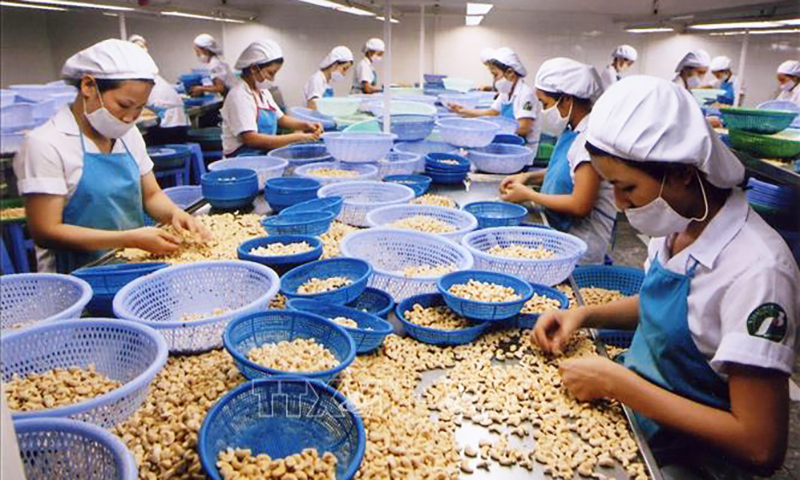 Cảnh giác "sập bẫy" lừa đảo trong thương mại quốc tế