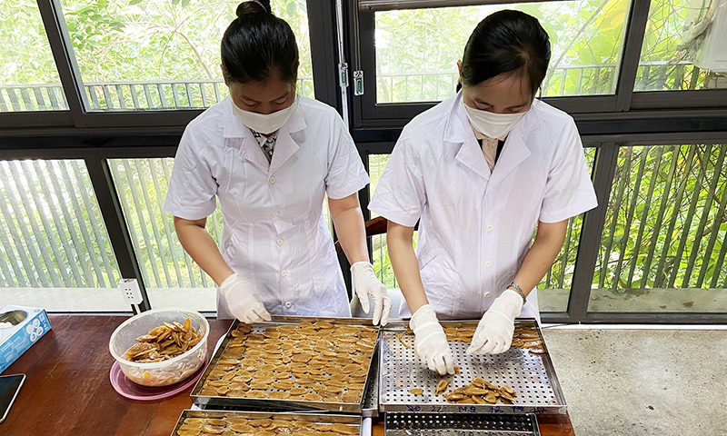 Đẩy mạnh ứng dụng các tiến bộ khoa học và công nghệ