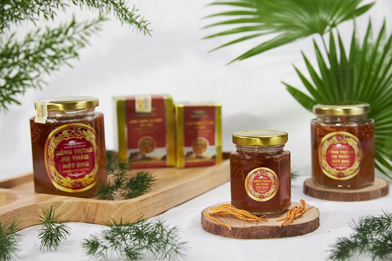 Tác dụng của đông trùng hạ thảo ngâm mật ong cho sức khỏe mọi người