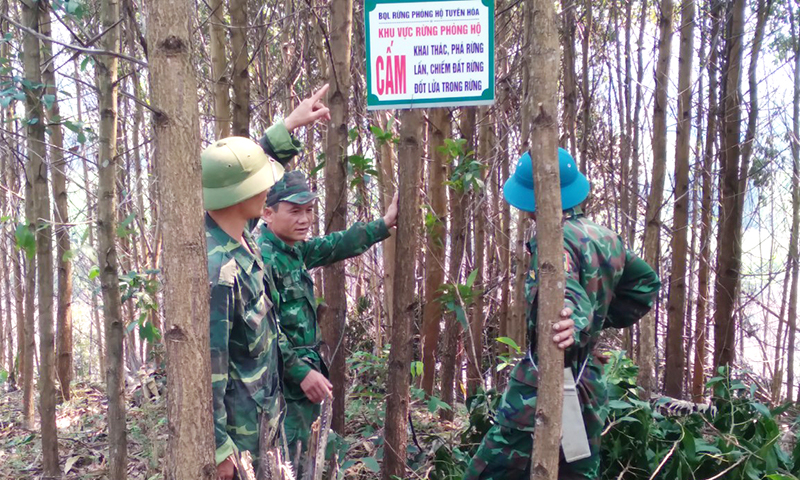 Chủ động phòng cháy, chữa cháy rừng từ sớm