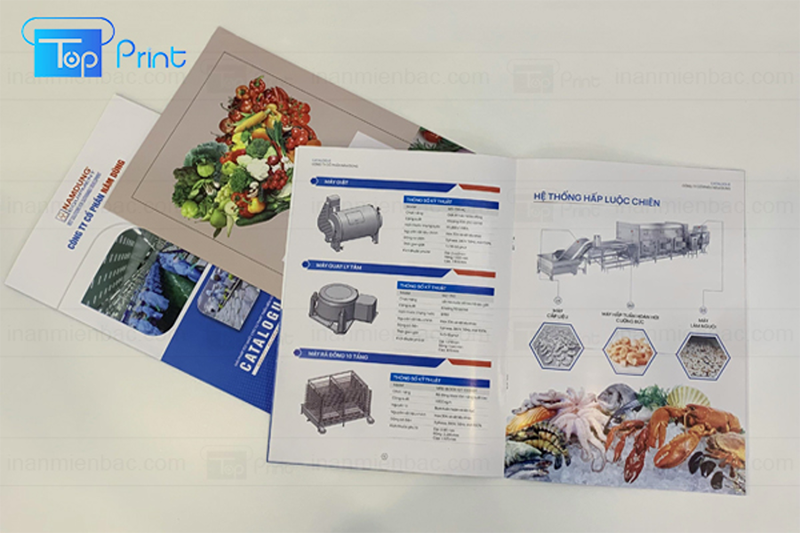 Công ty in ấn Miền Bắc - In catalogue nhanh, giá rẻ tại Hà Nội