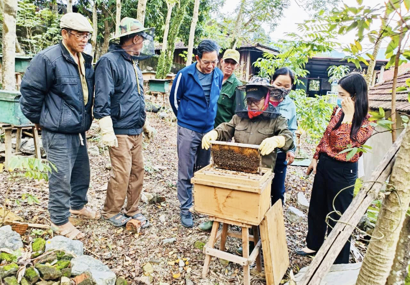 Cái khó của… mật ong!