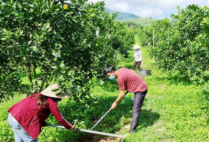 Nghiên cứu thấu đáo và có giải pháp hợp lý khi sắp xếp, tinh gọn tổ chức bộ máy