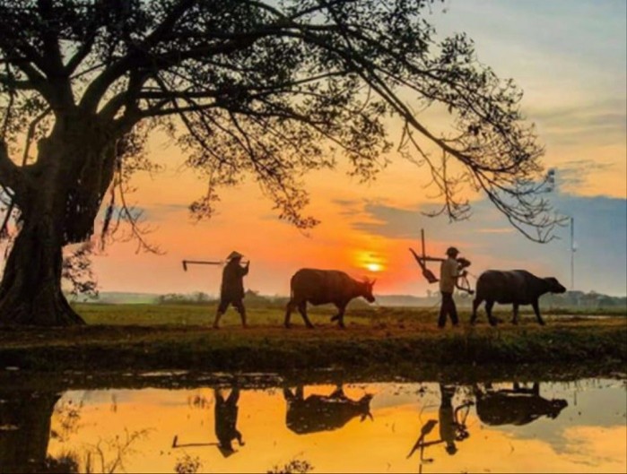 Ta gọi quê ơi