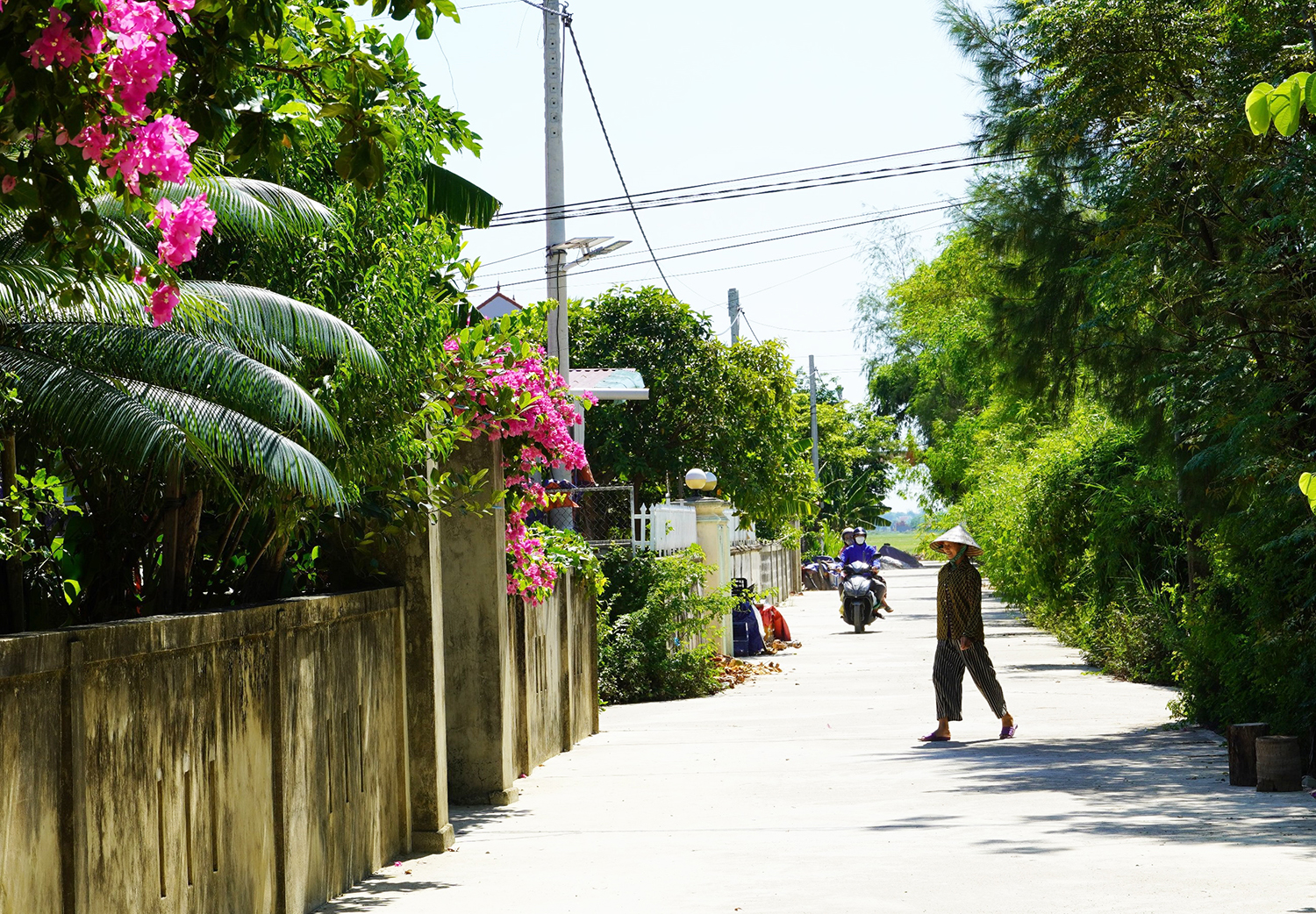 Quảng Ninh: Tỷ lệ cứng hóa đường giao thông nông thôn đạt trên 79%
