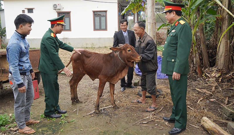 Bố Trạch: Hỗ trợ bò sinh kế cho gia đình thanh niên thực hiện nghĩa vụ quân sự