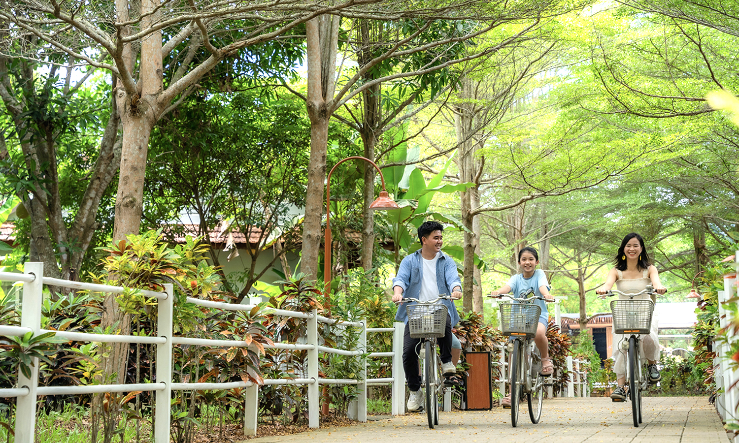 Du lịch 