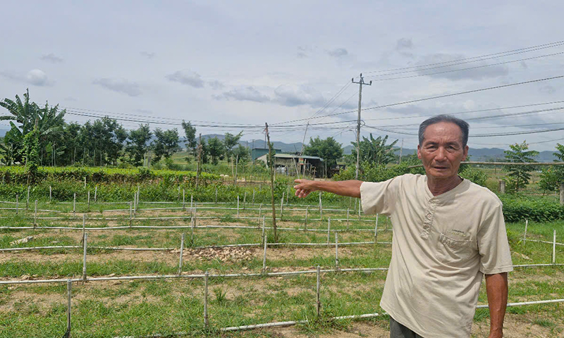 Phân lô bán nền nhưng 