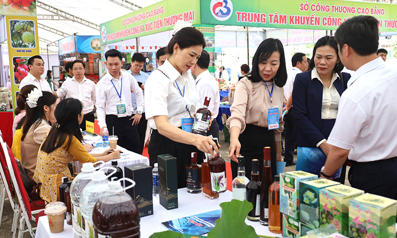 Khẳng định vai trò 