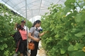 Triệu Phong chú trọng công tác xây dựng Đảng trong tình hình mới