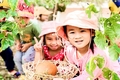 Hơn 177.600 trẻ mầm non và học sinh phổ thông trên địa bàn tỉnh hân hoan chào đón năm học mới
