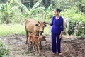 Phát huy vai trò của tổ chức công đoàn đáp ứng yêu cầu phát triển kinh tế - xã hội địa phương