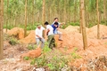 Cam Lộ: Xây dựng ô chôn lấp rác thải để giảm tải cho bãi rác tập trung