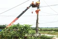 Nâng cao độ tin cậy cung cấp điện, giảm suất sự cố và giảm tổn thất điện năng