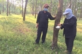Nông dân phấn khởi do giá ném tăng cao