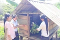 Nâng cao hơn nữa chất lượng các tổ tiết kiệm và vay vốn