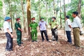 Hướng Hóa chú trọng kiểm tra, bảo vệ, phát triển rừng